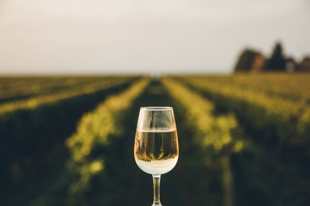 découvrir les vins moelleux 
